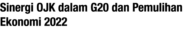 Sinergi OJK dalam G20 dan Pemulihan Ekonomi 2022
