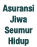Asuransi Jiwa Seumur Hidup