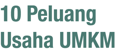 10 Peluang Usaha UMKM