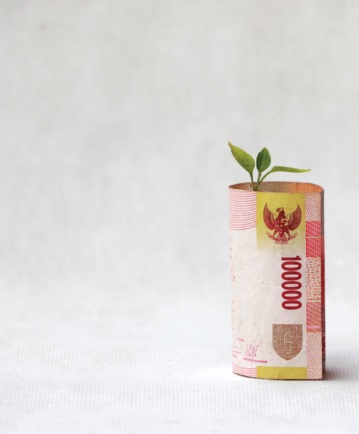 Rolled one hundred thousand banknote money of Indonesia Rupiah and green young plant grow up on the white floor  Concept of money growth or currency interest 