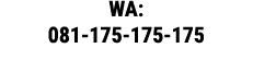 WA: 081-175-175-175