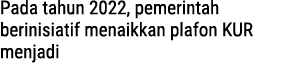 Pada tahun 2022, pemerintah berinisiatif menaikkan plafon KUR menjadi