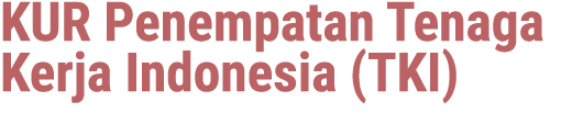KUR Penempatan Tenaga Kerja Indonesia (TKI)
